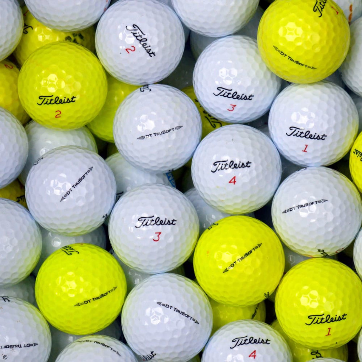 TITLEIST TruSoft Lake Balls