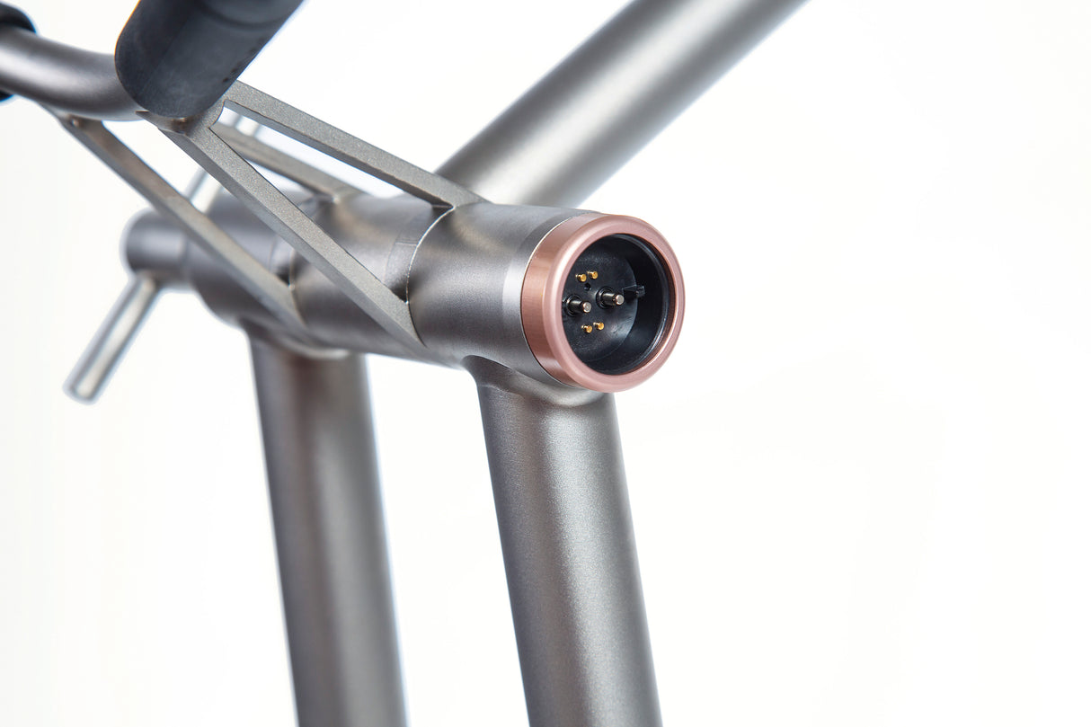 JuCad Phantom Titan Rosé 3.0 - Elektrotrolley